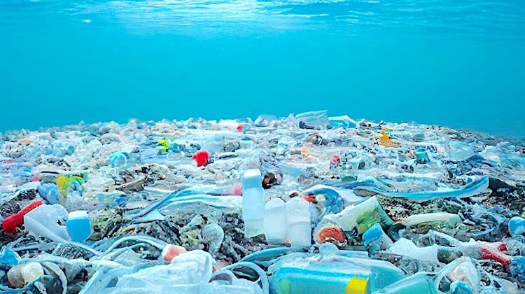 CONTRE LE PLASTIQUE - Surfrider Foundation Europe sur la vague d’un traité ambitieux